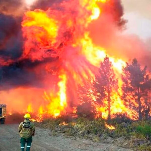 Castigada por los incendios
